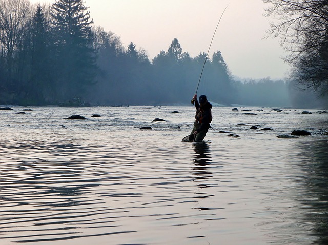 The best place to stay in Port Angeles, the Olympic Peninsula!