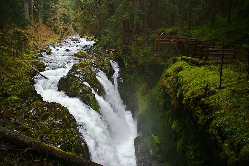 The best place to stay in Olympic National Park and Port Angeles!