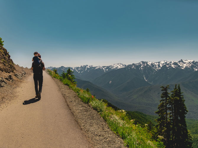  Hurricane Ridge